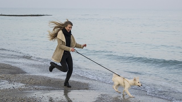 Dziewczyna biegnie z psem nad brzegiem morza