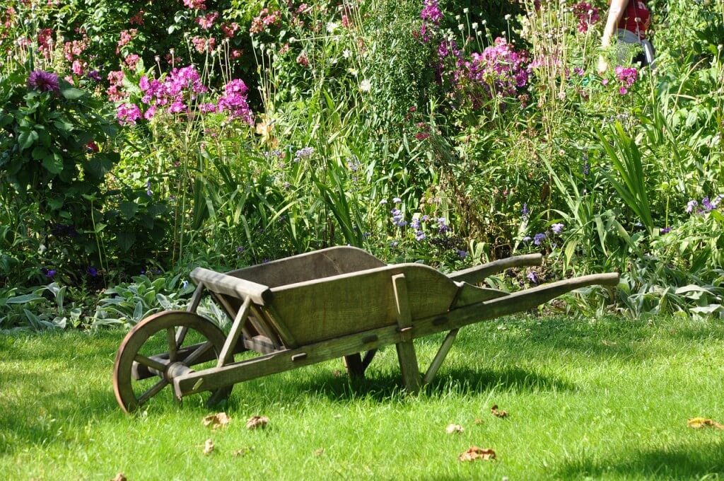 Narzędzia ogrodowe, które musisz mieć opiekując się ogrodem!