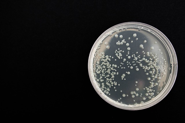 Biopreparaty do oczyszczalni ścieków – jakie wybierać?