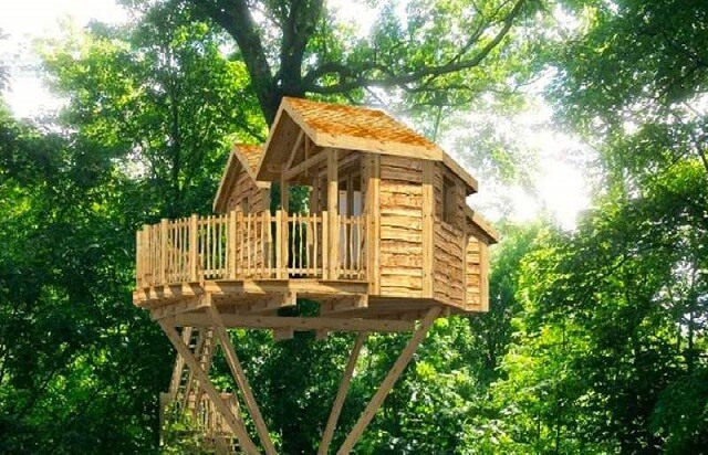 Domek na drzewie